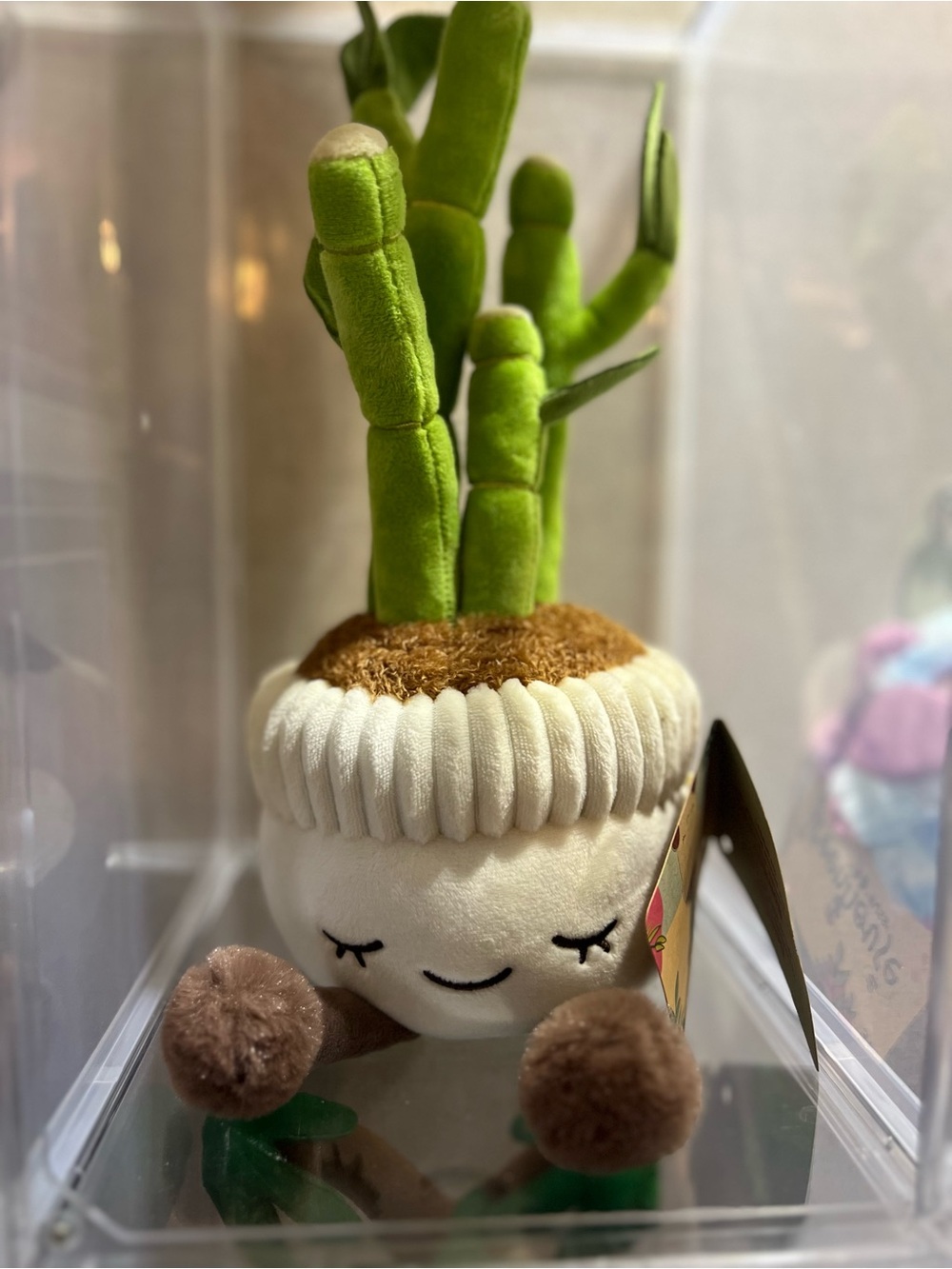 Russ Plush Succulent Accent in Green and Cream